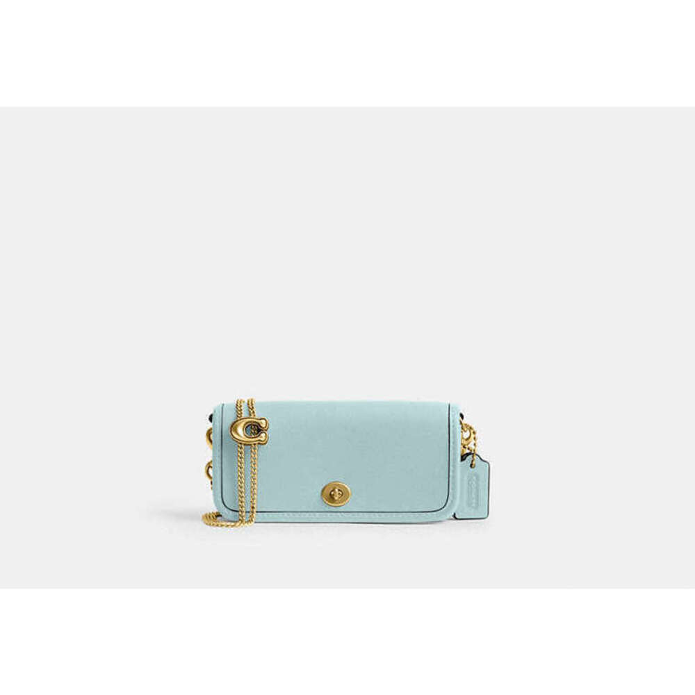 Coach Dinky Bag 14